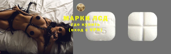 прущие крисы Алзамай