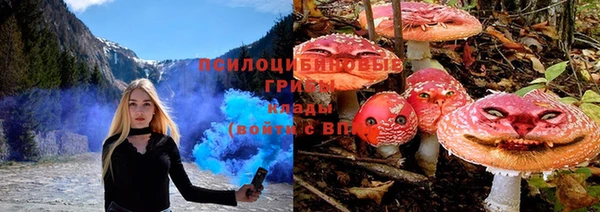 бутират Алексин