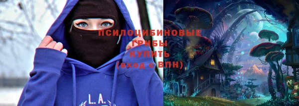 бутират Алексин