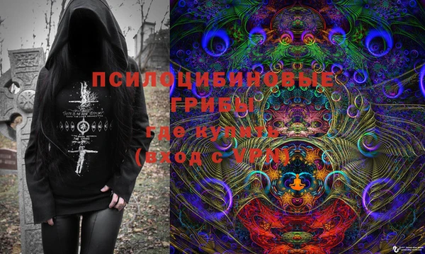 бутират Алексин