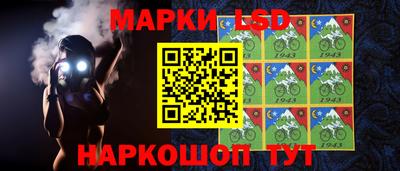 эйфоретик Новодвинск