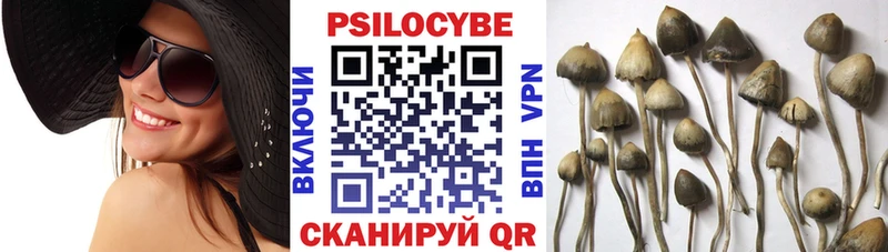 Псилоцибиновые грибы Psilocybine cubensis Уварово